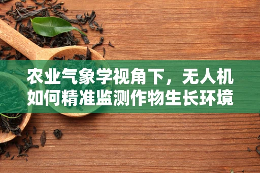 农业气象学视角下，无人机如何精准监测作物生长环境？