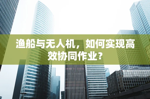 渔船与无人机，如何实现高效协同作业？
