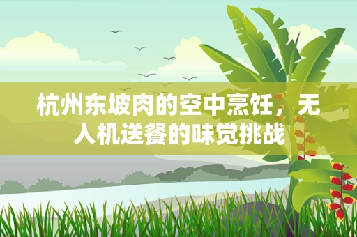 杭州东坡肉的空中烹饪，无人机送餐的味觉挑战