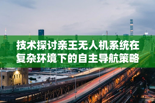 技术探讨亲王无人机系统在复杂环境下的自主导航策略，如何精准应对？