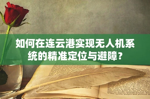 如何在连云港实现无人机系统的精准定位与避障？
