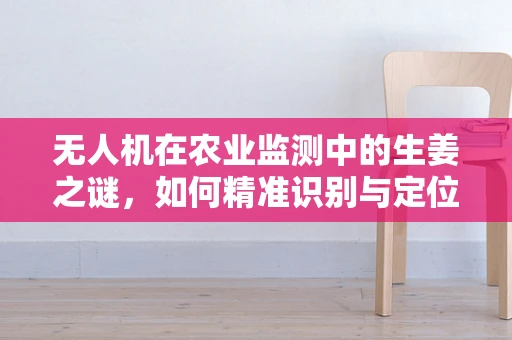 无人机在农业监测中的生姜之谜，如何精准识别与定位？