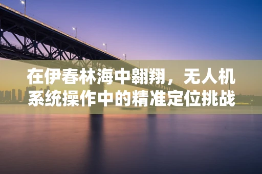 在伊春林海中翱翔，无人机系统操作中的精准定位挑战与应对策略
