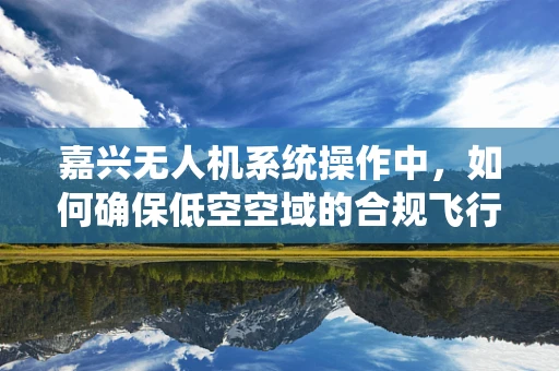 嘉兴无人机系统操作中，如何确保低空空域的合规飞行？