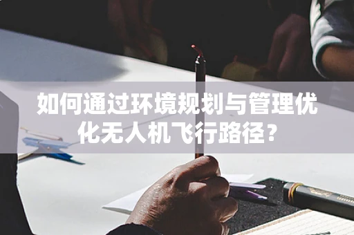 如何通过环境规划与管理优化无人机飞行路径？