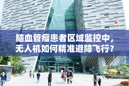 脑血管瘤患者区域监控中，无人机如何精准避障飞行？