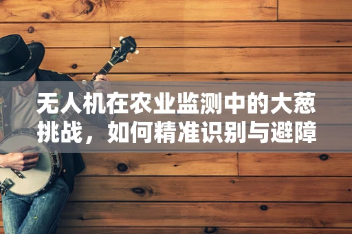 无人机在农业监测中的大葱挑战，如何精准识别与避障？