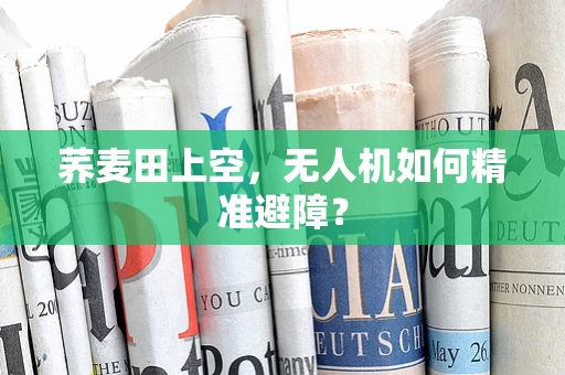 荞麦田上空，无人机如何精准避障？