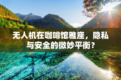 无人机在咖啡馆雅座，隐私与安全的微妙平衡？