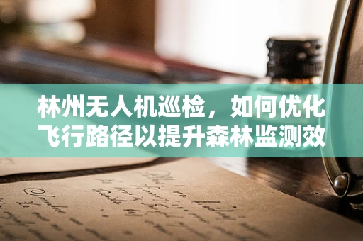 林州无人机巡检，如何优化飞行路径以提升森林监测效率？