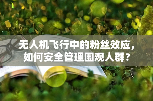 无人机飞行中的粉丝效应，如何安全管理围观人群？