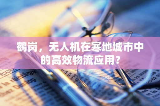 鹤岗，无人机在寒地城市中的高效物流应用？