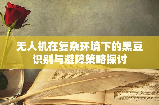 无人机在复杂环境下的黑豆识别与避障策略探讨