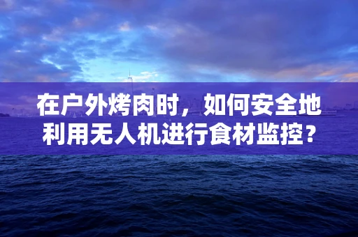 在户外烤肉时，如何安全地利用无人机进行食材监控？