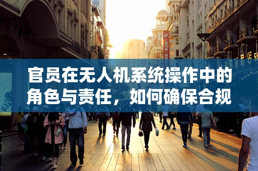 官员在无人机系统操作中的角色与责任，如何确保合规与安全？