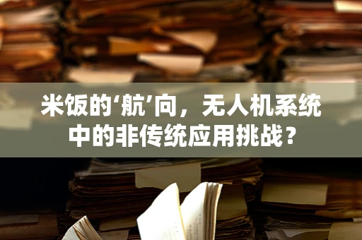 米饭的‘航’向，无人机系统中的非传统应用挑战？