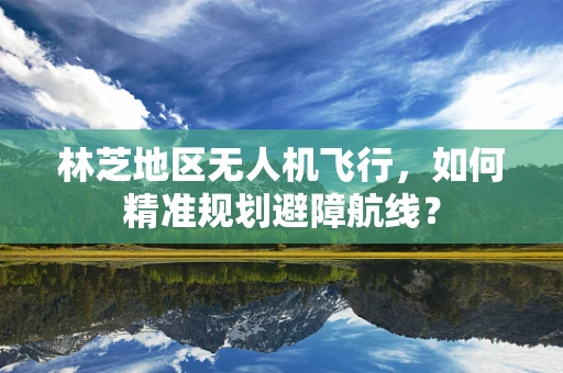 林芝地区无人机飞行，如何精准规划避障航线？