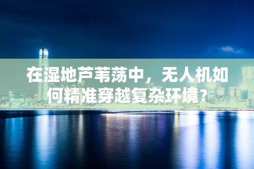在湿地芦苇荡中，无人机如何精准穿越复杂环境？