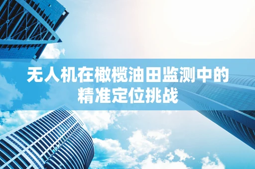 无人机在橄榄油田监测中的精准定位挑战