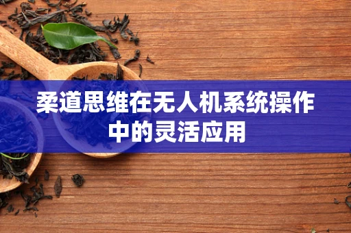 柔道思维在无人机系统操作中的灵活应用