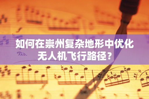 如何在崇州复杂地形中优化无人机飞行路径？
