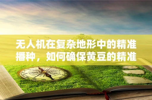 无人机在复杂地形中的精准播种，如何确保黄豆的精准投放？