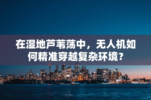 在湿地芦苇荡中，无人机如何精准穿越复杂环境？