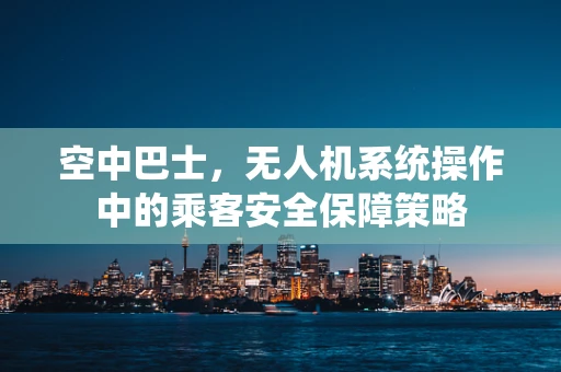 空中巴士，无人机系统操作中的乘客安全保障策略
