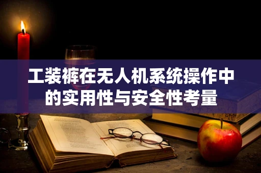 工装裤在无人机系统操作中的实用性与安全性考量
