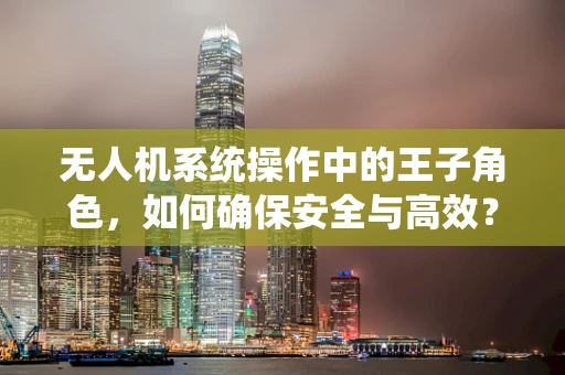 无人机系统操作中的王子角色，如何确保安全与高效？