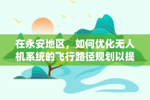 在永安地区，如何优化无人机系统的飞行路径规划以提升作业效率？