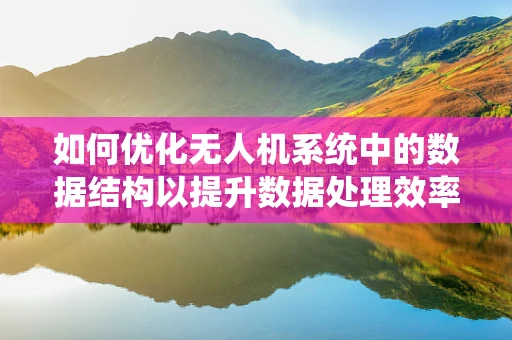 如何优化无人机系统中的数据结构以提升数据处理效率？