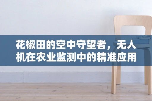 花椒田的空中守望者，无人机在农业监测中的精准应用挑战