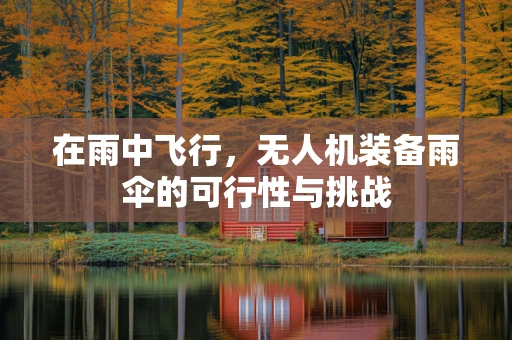在雨中飞行，无人机装备雨伞的可行性与挑战