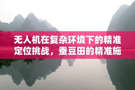 无人机在复杂环境下的精准定位挑战，蚕豆田的精准施药难题