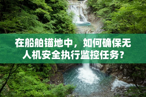 在船舶锚地中，如何确保无人机安全执行监控任务？