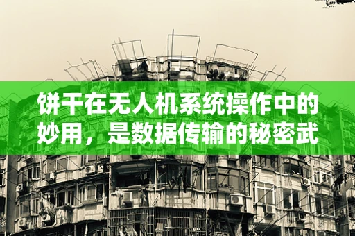 饼干在无人机系统操作中的妙用，是数据传输的秘密武器吗？