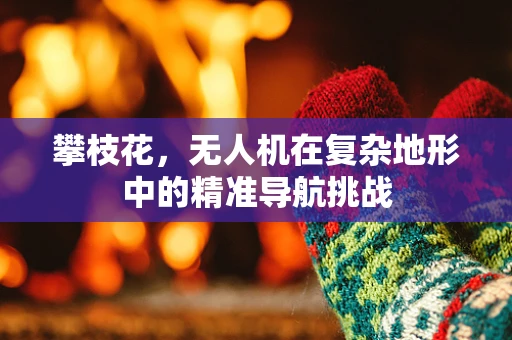 攀枝花，无人机在复杂地形中的精准导航挑战