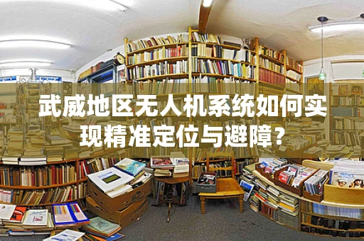 武威地区无人机系统如何实现精准定位与避障？