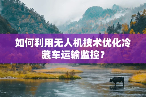 如何利用无人机技术优化冷藏车运输监控？