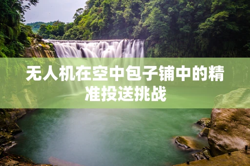 无人机在空中包子铺中的精准投送挑战