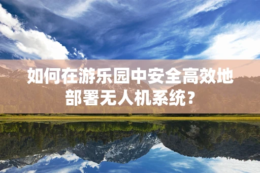 如何在游乐园中安全高效地部署无人机系统？