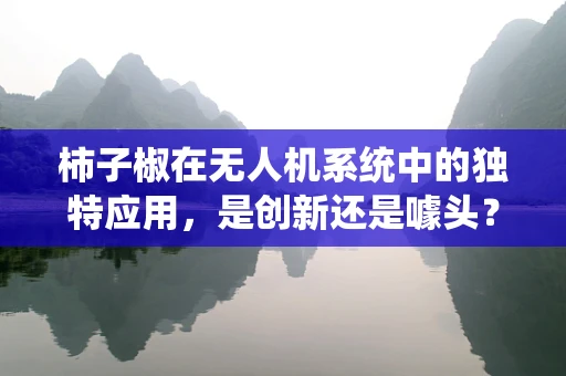 柿子椒在无人机系统中的独特应用，是创新还是噱头？