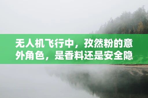 无人机飞行中，孜然粉的意外角色，是香料还是安全隐患？