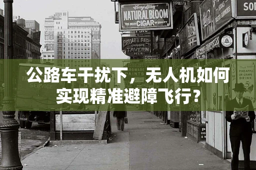 公路车干扰下，无人机如何实现精准避障飞行？