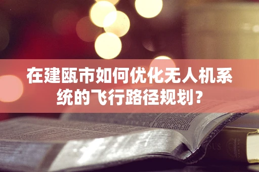在建瓯市如何优化无人机系统的飞行路径规划？