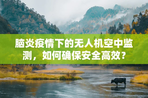 脑炎疫情下的无人机空中监测，如何确保安全高效？
