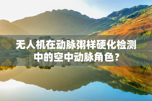 无人机在动脉粥样硬化检测中的空中动脉角色？