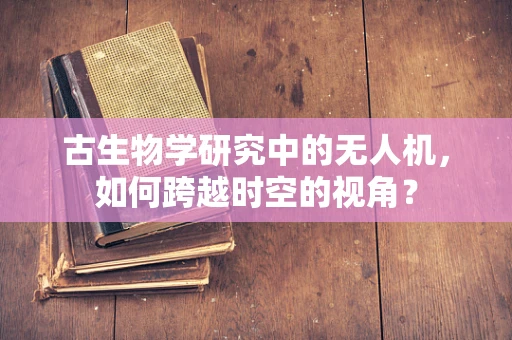 古生物学研究中的无人机，如何跨越时空的视角？