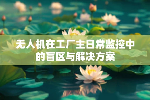 无人机在工厂主日常监控中的盲区与解决方案